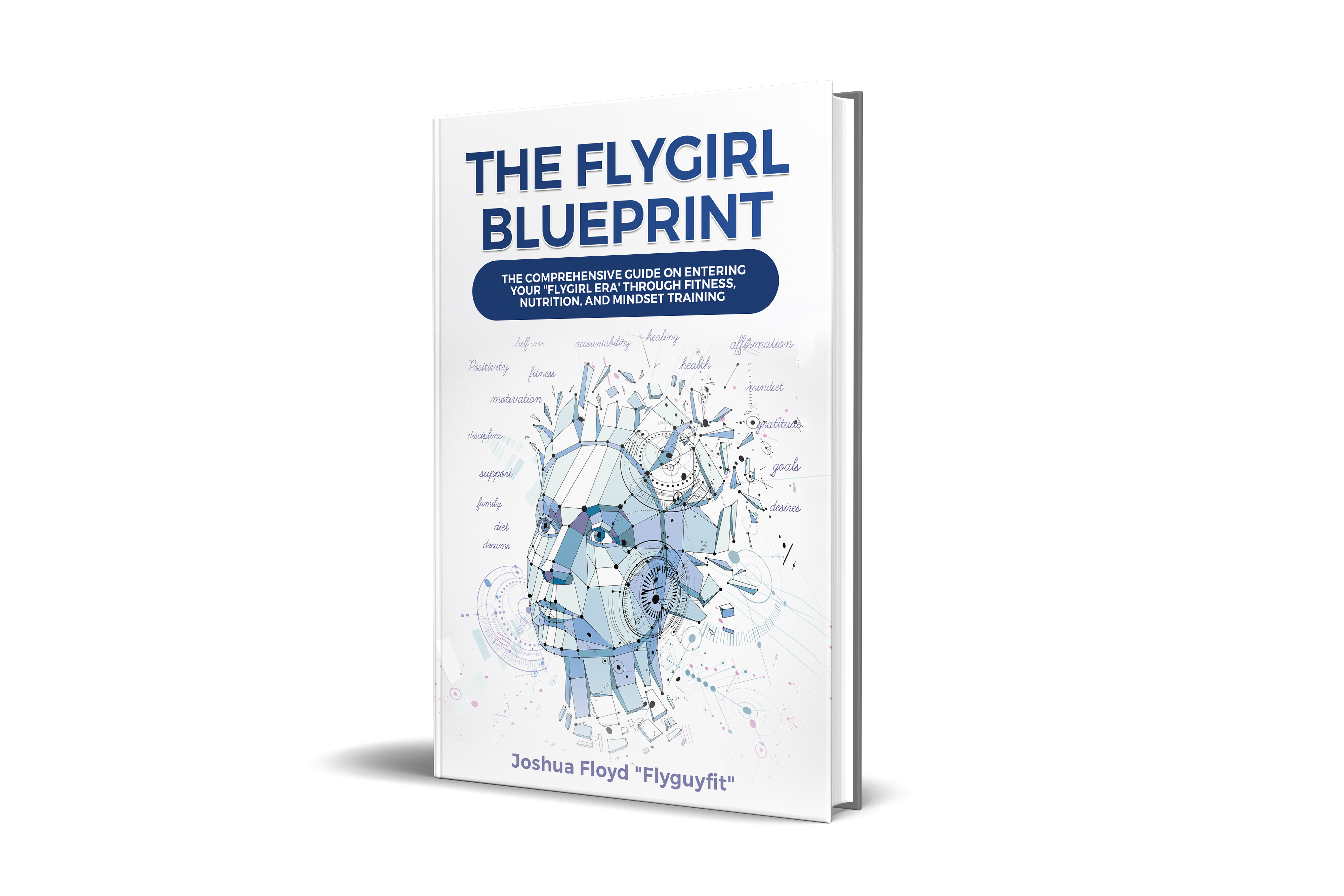 The Fly Girl Guide